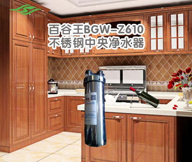 百谷王不锈钢中央净水器BGW-Z610